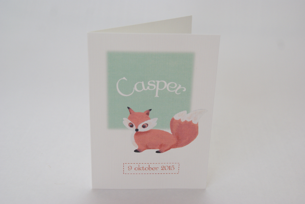 geboortekaartje casper lichtgroen